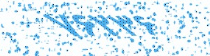 PAM-CAPTCHA-GENERATOR